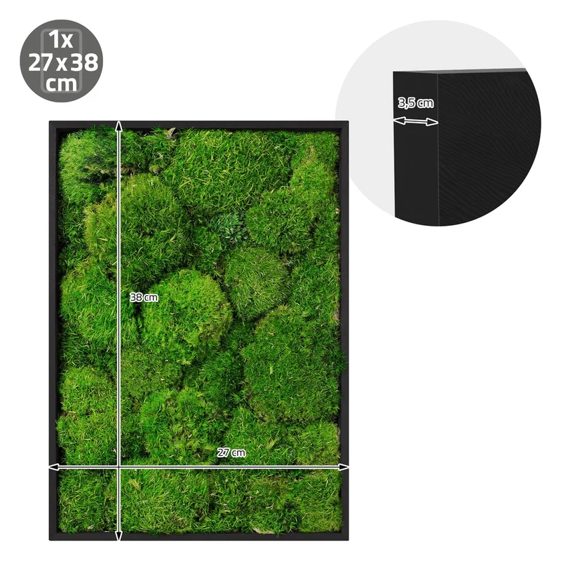ECD GERMANY | Moosbild mit echtem Kugelmoos, Rechteck, 38x27 cm, Grün, Mooswand Indoor, Wanddeko mit Holzrahmen, Wandbild, Moos Deko für Haus & Büro