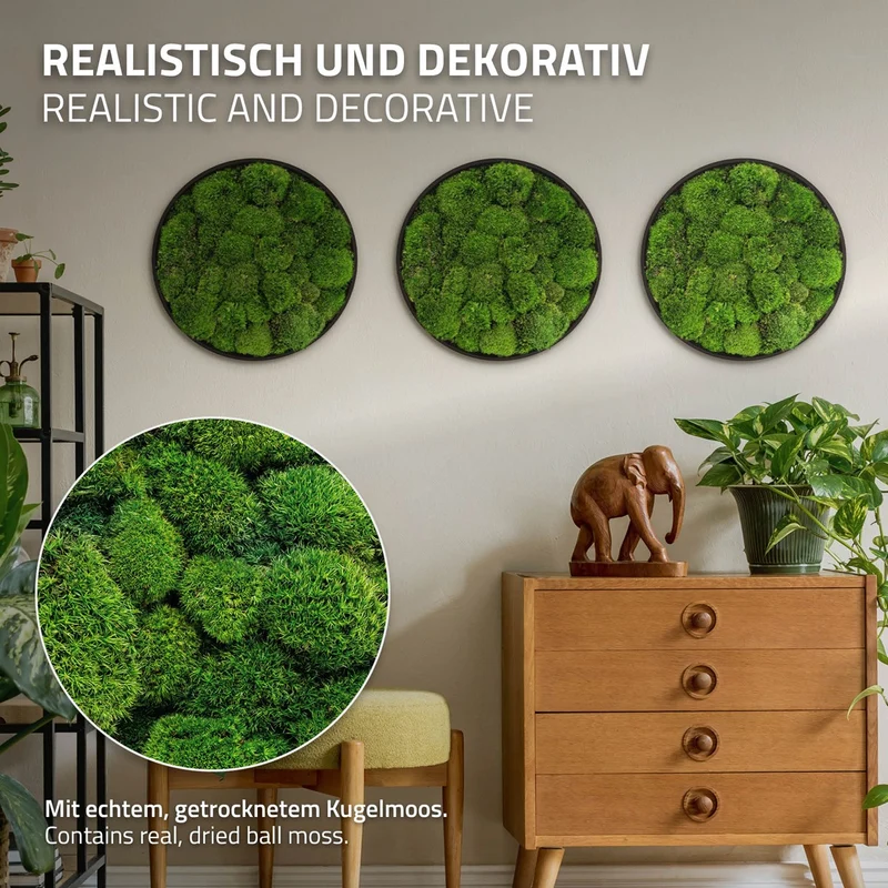 ECD GERMANY | Moosbild mit echtem Kugelmoos, Rund, Ø 40 cm, Grün, Mooswand Indoor, Wanddeko mit Holzrahmen, Wandbild, Moos Deko für Haus & Büro