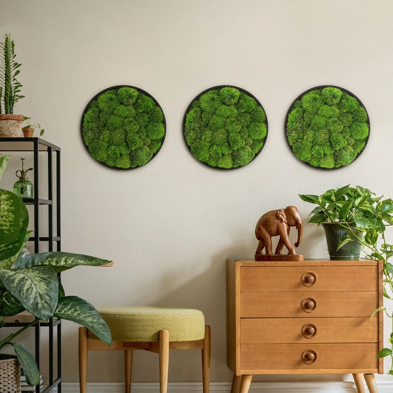 ECD GERMANY | Moosbild mit echtem Kugelmoos, Rund, Ø 40 cm, Grün, Mooswand Indoor, Wanddeko mit Holzrahmen, Wandbild, Moos Deko für Haus & Büro
