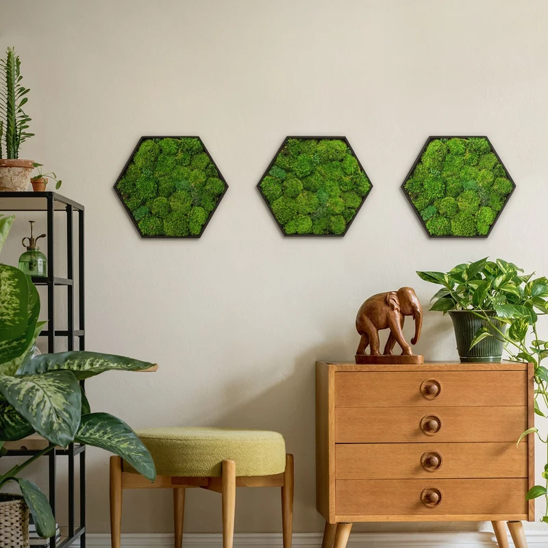 ECD GERMANY | Moosbild mit echtem Kugelmoos, Hexagon 38x34 cm, Grün, Mooswand Indoor, Wanddeko mit Holzrahmen, Wandbild, Moos Deko für Haus & Büro