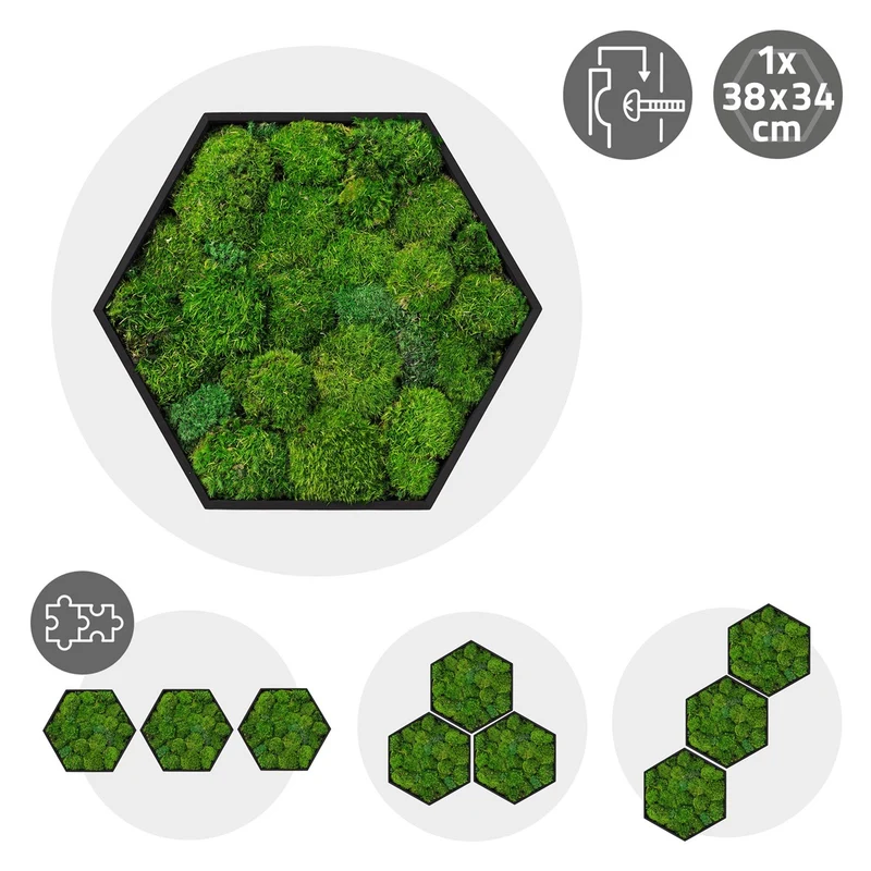 ECD GERMANY | Moosbild mit echtem Kugelmoos, Hexagon 38x34 cm, Grün, Mooswand Indoor, Wanddeko mit Holzrahmen, Wandbild, Moos Deko für Haus & Büro