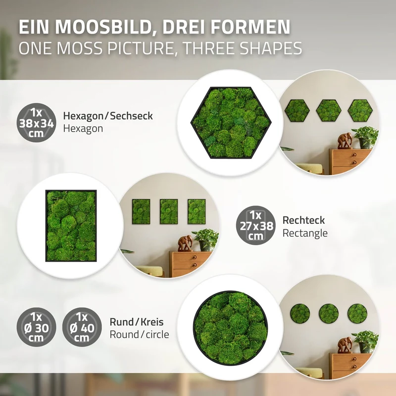 ECD GERMANY | Moosbild mit echtem Kugelmoos, Rund, Ø 30 cm, Grün, Mooswand Indoor, Wanddeko mit Holzrahmen, Wandbild, Moos Deko für Haus & Büro