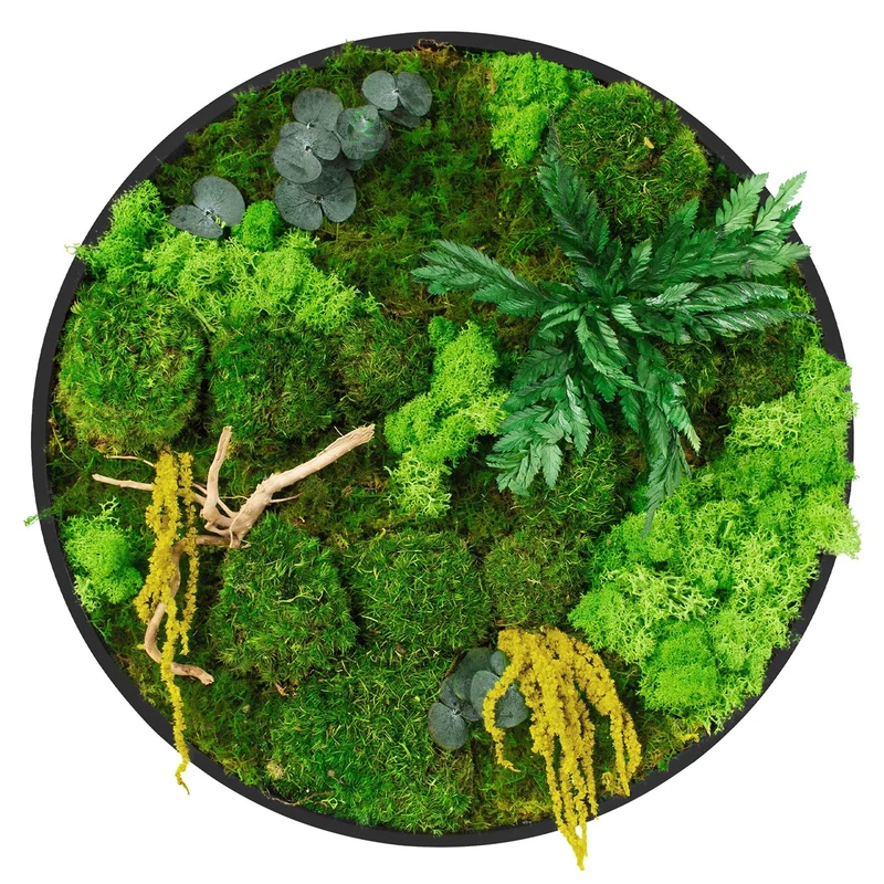 ECD GERMANY | Moosbild mit echtem Kugel-, Island- und Flachmoos-Mix & Ästen Rund Ø40 cm Mooswand Indoor Wanddeko mit Holzrahmen Wandbild für Haus Büro