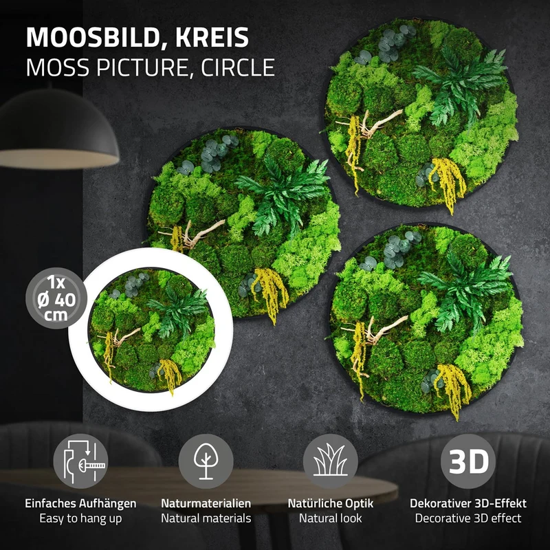 ECD GERMANY | Moosbild mit echtem Kugel-, Island- und Flachmoos-Mix & Ästen Rund Ø40 cm Mooswand Indoor Wanddeko mit Holzrahmen Wandbild für Haus Büro