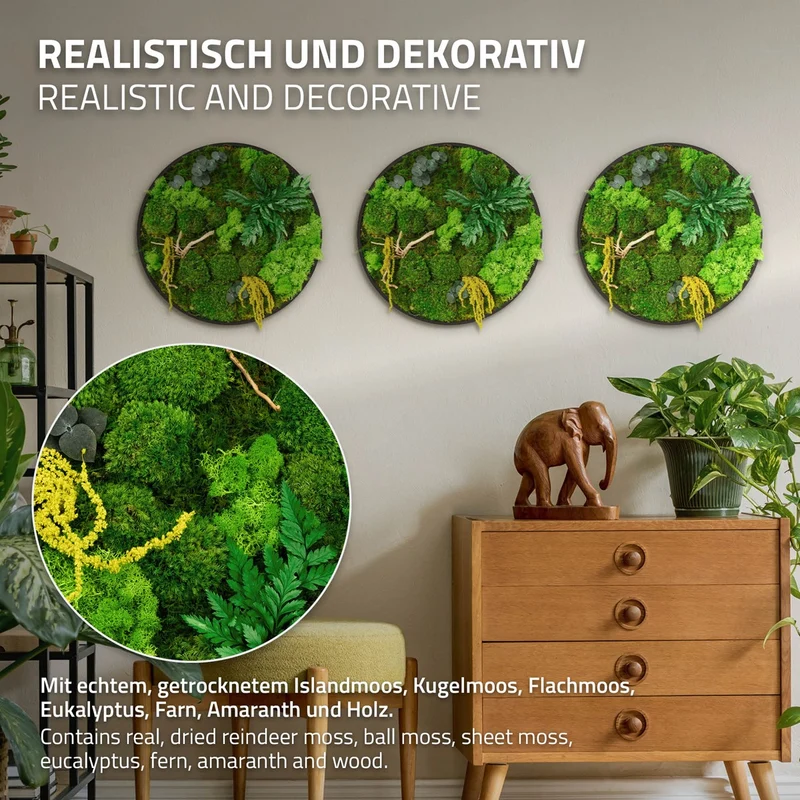 ECD GERMANY | Moosbild mit echtem Kugel-, Island- und Flachmoos-Mix & Ästen Rund Ø40 cm Mooswand Indoor Wanddeko mit Holzrahmen Wandbild für Haus Büro