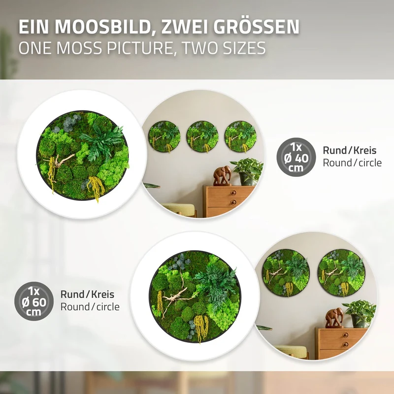 ECD GERMANY | Moosbild mit echtem Kugel-, Island- und Flachmoos-Mix & Ästen Rund Ø40 cm Mooswand Indoor Wanddeko mit Holzrahmen Wandbild für Haus Büro