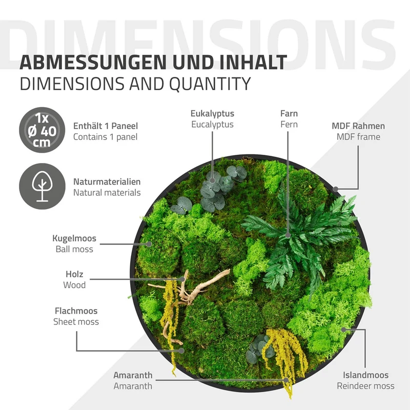 ECD GERMANY | Moosbild mit echtem Kugel-, Island- und Flachmoos-Mix & Ästen Rund Ø40 cm Mooswand Indoor Wanddeko mit Holzrahmen Wandbild für Haus Büro