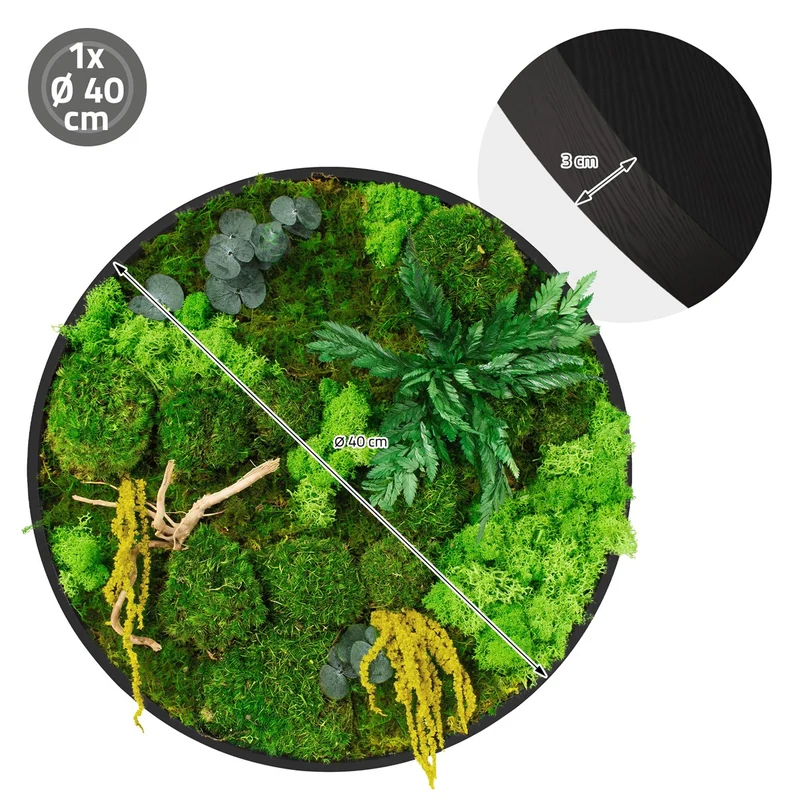 ECD GERMANY | Moosbild mit echtem Kugel-, Island- und Flachmoos-Mix & Ästen Rund Ø40 cm Mooswand Indoor Wanddeko mit Holzrahmen Wandbild für Haus Büro