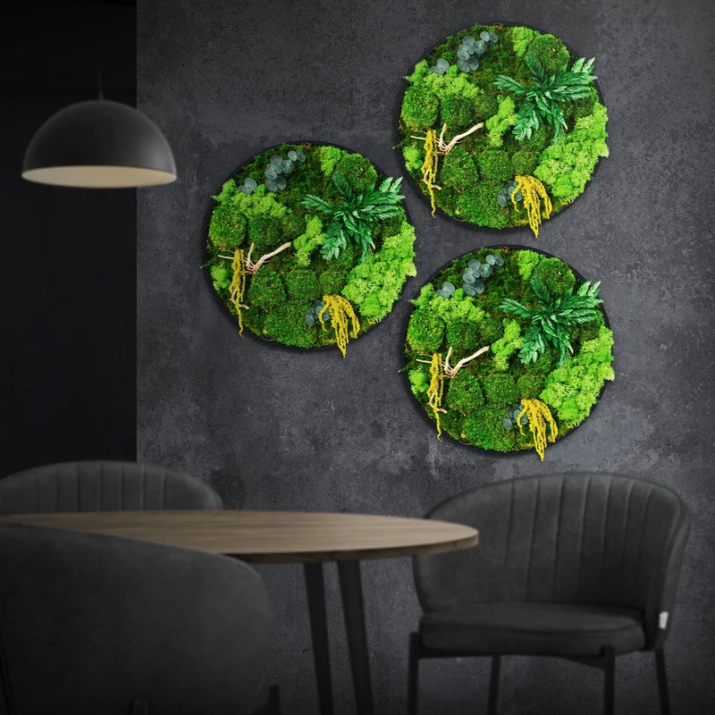 ECD GERMANY | Moosbild mit echtem Kugel-, Island- und Flachmoos-Mix & Ästen Rund Ø40 cm Mooswand Indoor Wanddeko mit Holzrahmen Wandbild für Haus Büro