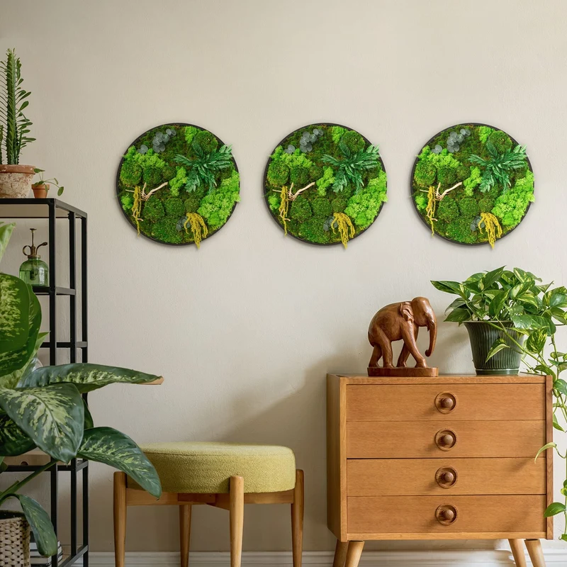 ECD GERMANY | Moosbild mit echtem Kugel-, Island- und Flachmoos-Mix & Ästen Rund Ø40 cm Mooswand Indoor Wanddeko mit Holzrahmen Wandbild für Haus Büro