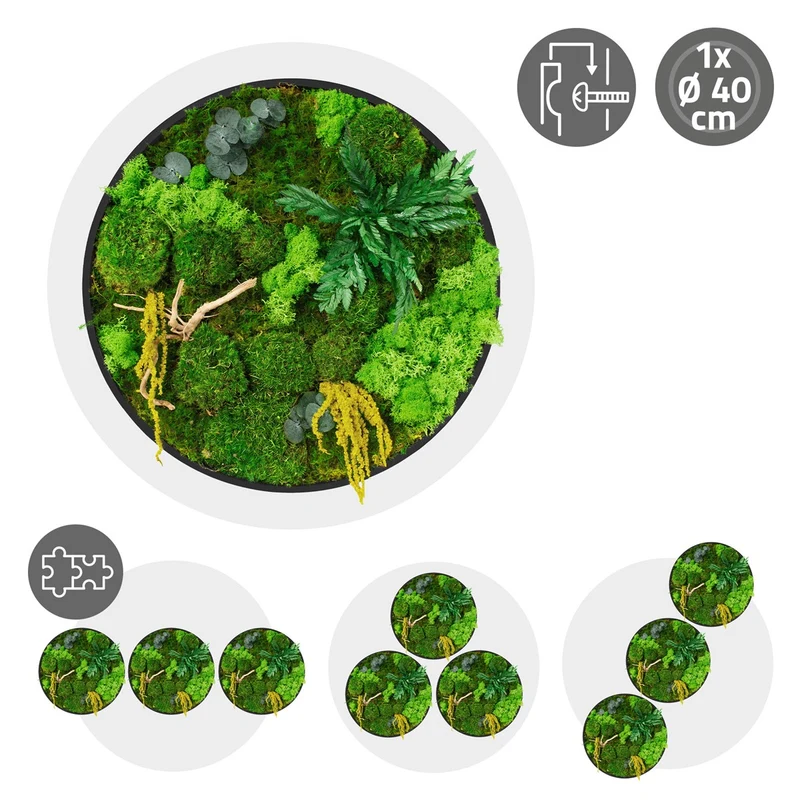 ECD GERMANY | Moosbild mit echtem Kugel-, Island- und Flachmoos-Mix & Ästen Rund Ø40 cm Mooswand Indoor Wanddeko mit Holzrahmen Wandbild für Haus Büro