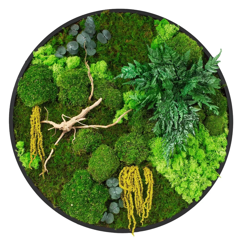 ECD GERMANY | Moosbild mit echtem Kugel-, Island- und Flachmoos-Mix & Ästen Rund Ø60 cm Mooswand Indoor Wanddeko mit Holzrahmen Wandbild für Haus Büro