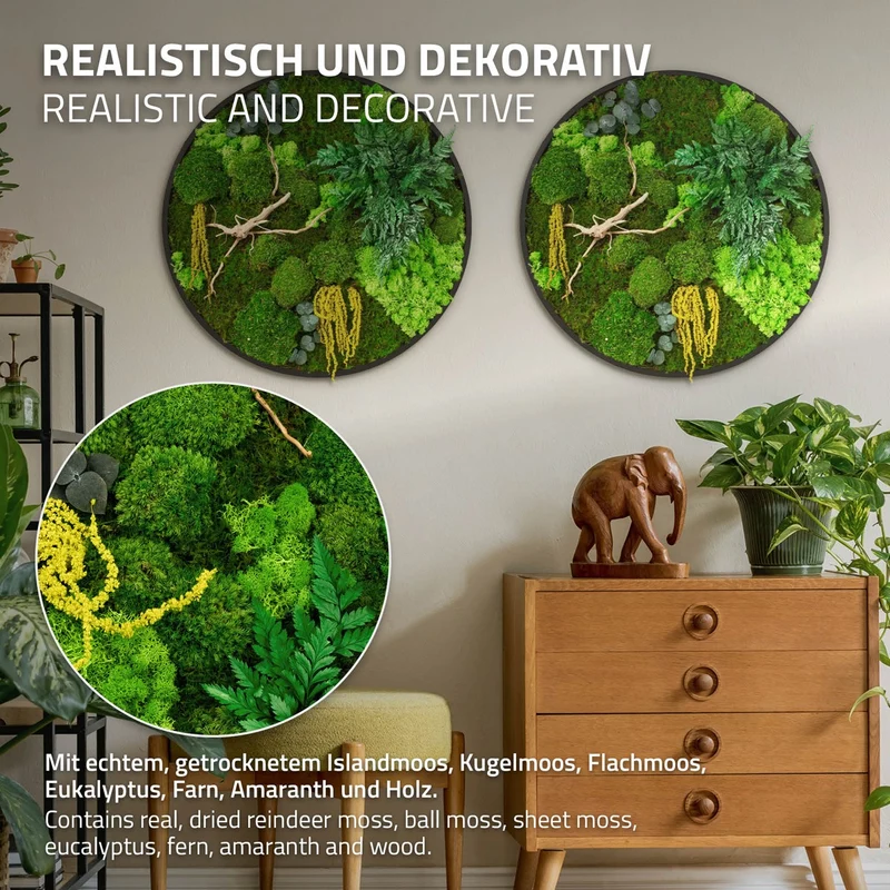 ECD GERMANY | Moosbild mit echtem Kugel-, Island- und Flachmoos-Mix & Ästen Rund Ø60 cm Mooswand Indoor Wanddeko mit Holzrahmen Wandbild für Haus Büro