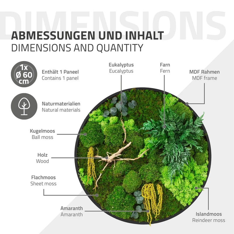 ECD GERMANY | Moosbild mit echtem Kugel-, Island- und Flachmoos-Mix & Ästen Rund Ø60 cm Mooswand Indoor Wanddeko mit Holzrahmen Wandbild für Haus Büro