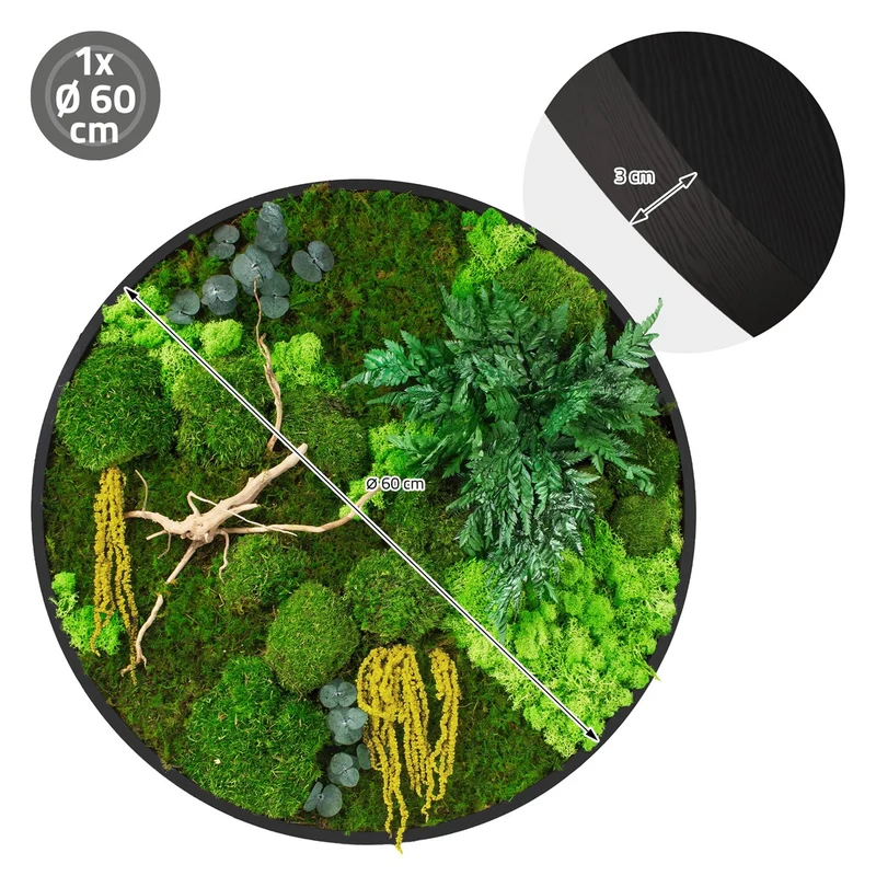 ECD GERMANY | Moosbild mit echtem Kugel-, Island- und Flachmoos-Mix & Ästen Rund Ø60 cm Mooswand Indoor Wanddeko mit Holzrahmen Wandbild für Haus Büro