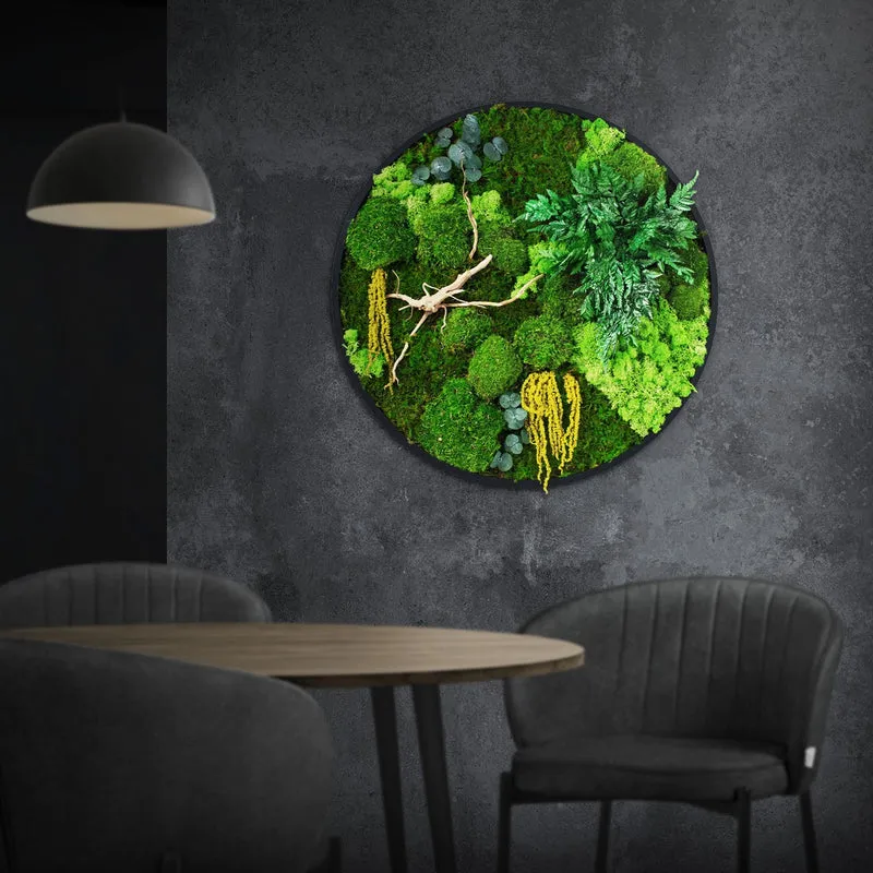 ECD GERMANY | Moosbild mit echtem Kugel-, Island- und Flachmoos-Mix & Ästen Rund Ø60 cm Mooswand Indoor Wanddeko mit Holzrahmen Wandbild für Haus Büro