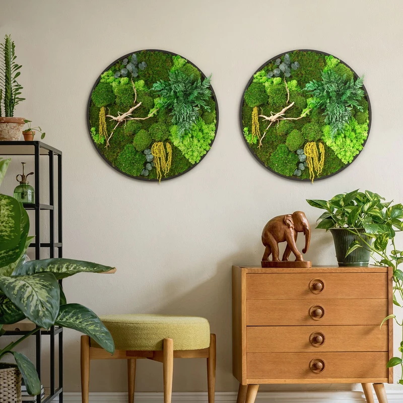 ECD GERMANY | Moosbild mit echtem Kugel-, Island- und Flachmoos-Mix & Ästen Rund Ø60 cm Mooswand Indoor Wanddeko mit Holzrahmen Wandbild für Haus Büro