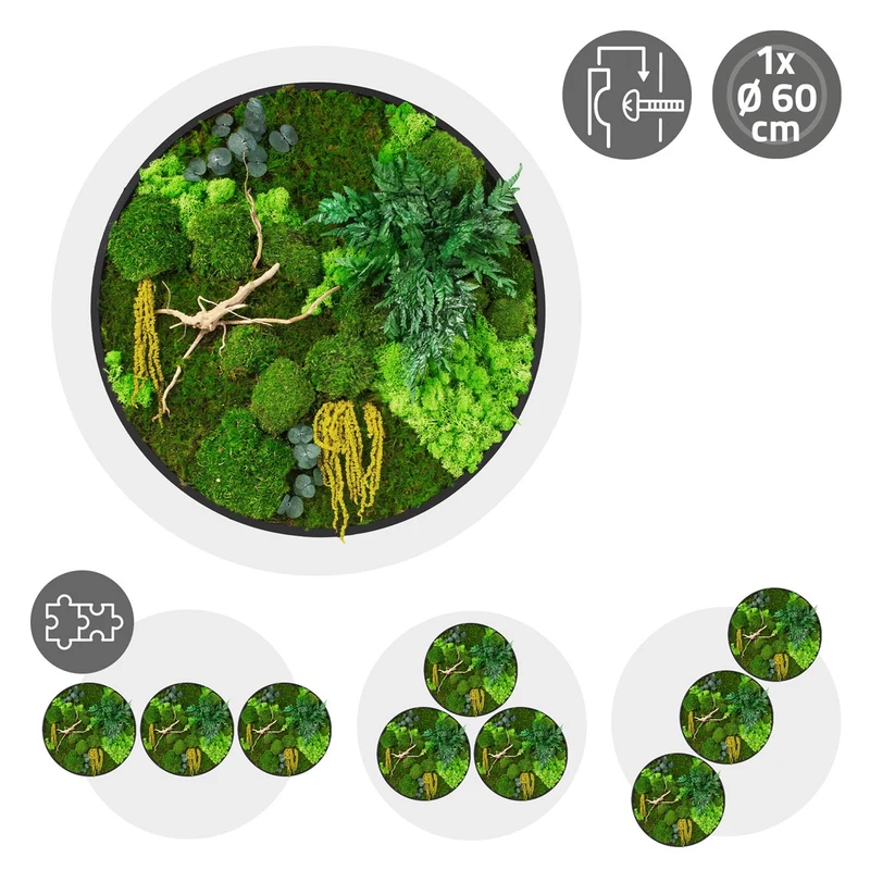 ECD GERMANY | Moosbild mit echtem Kugel-, Island- und Flachmoos-Mix & Ästen Rund Ø60 cm Mooswand Indoor Wanddeko mit Holzrahmen Wandbild für Haus Büro