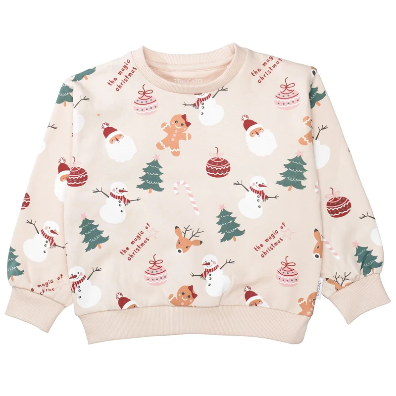 Md.-Sweatshirt