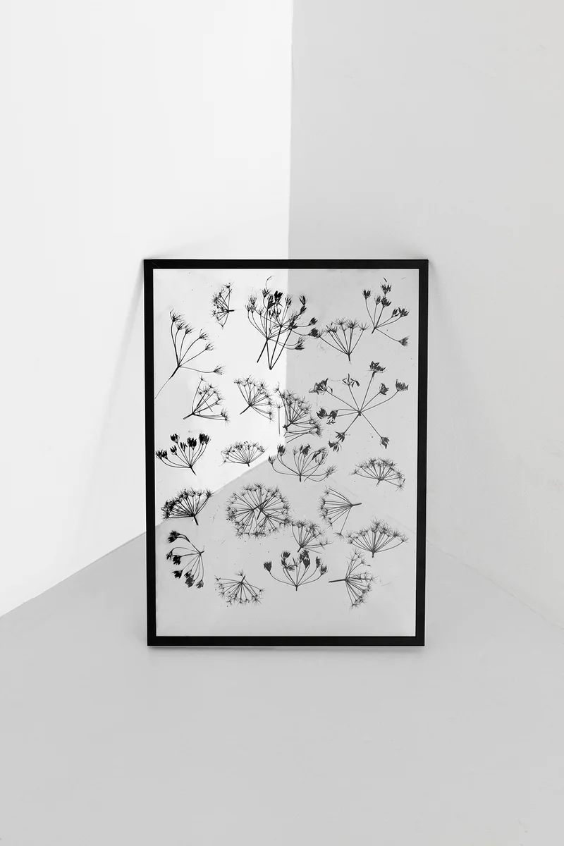 Frame