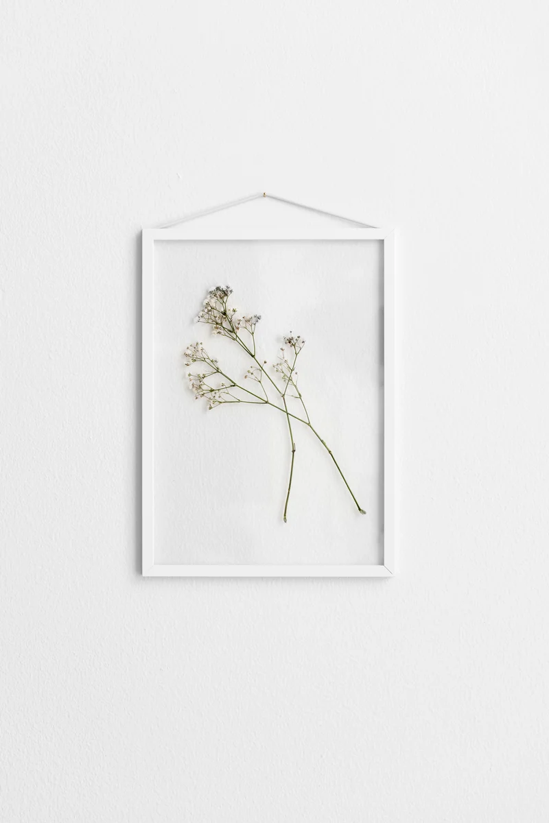 Frame