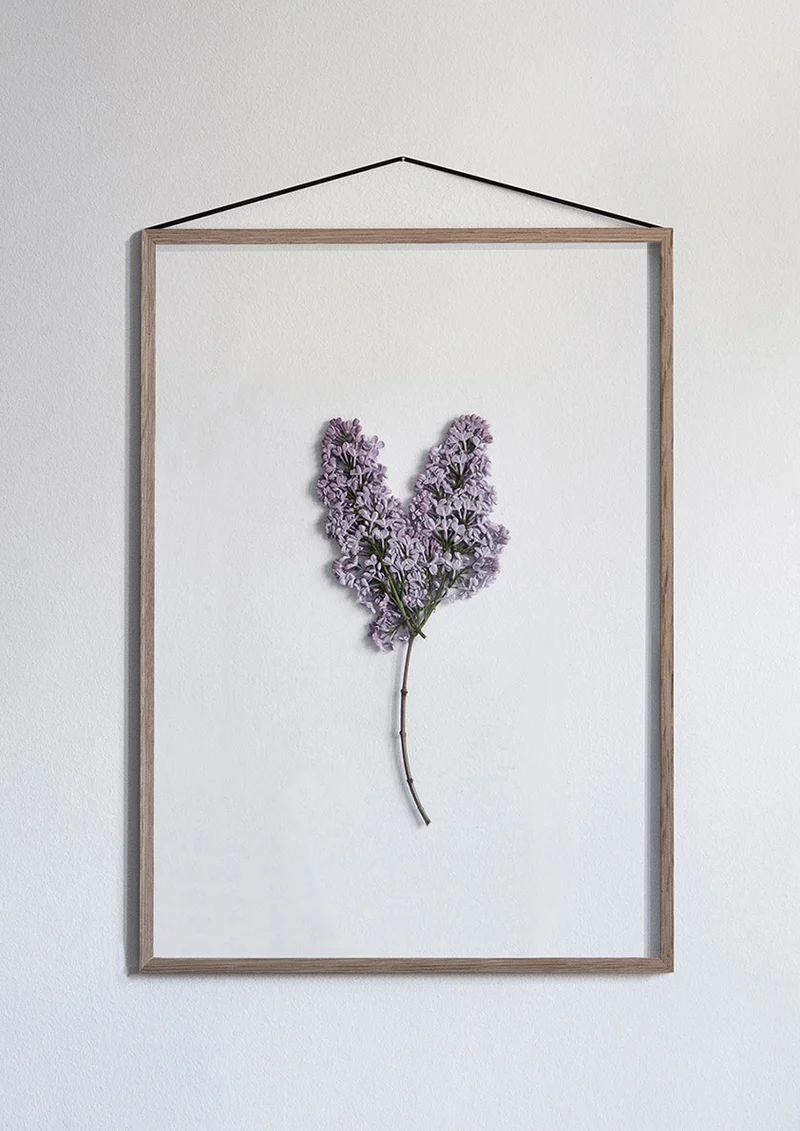 Frame