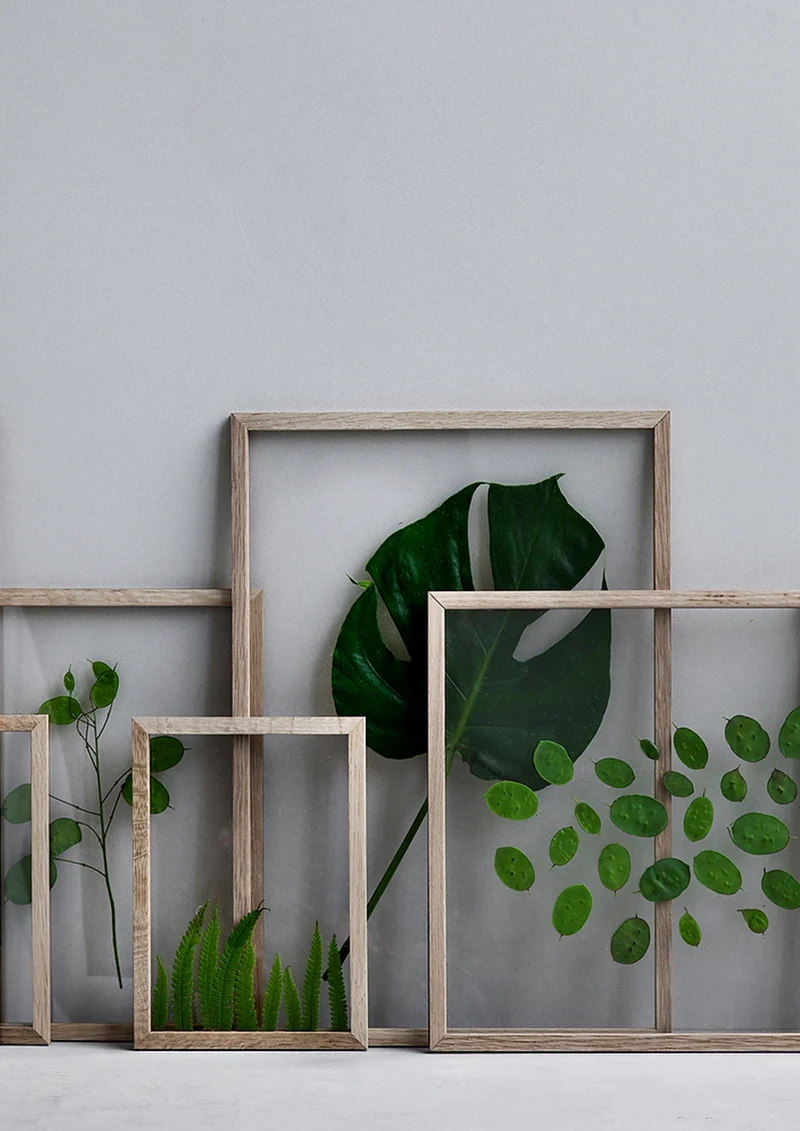 Frame
