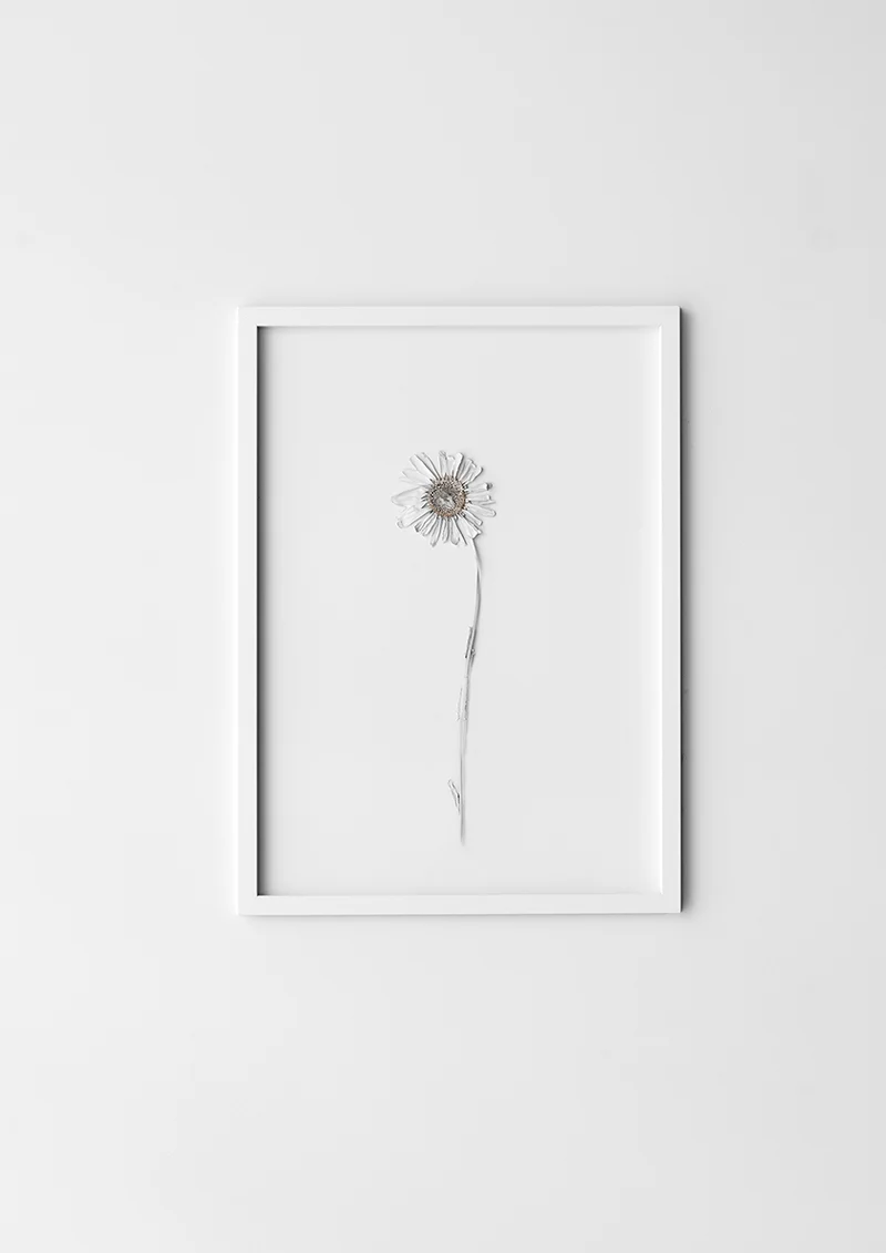 Frame