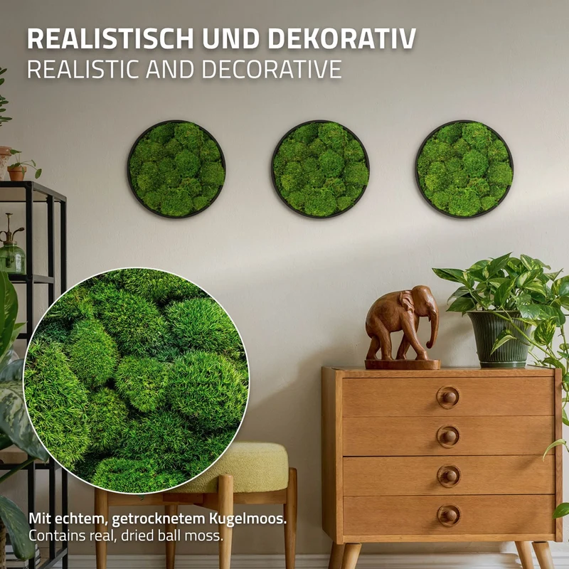 ECD GERMANY | Moosbild mit echtem Moos, Rund Ø 30/40/60 cm, Grün, Mooswand Indoor, Wanddeko mit Holzrahmen, Wandbild, Moos Deko für Haus & Büro