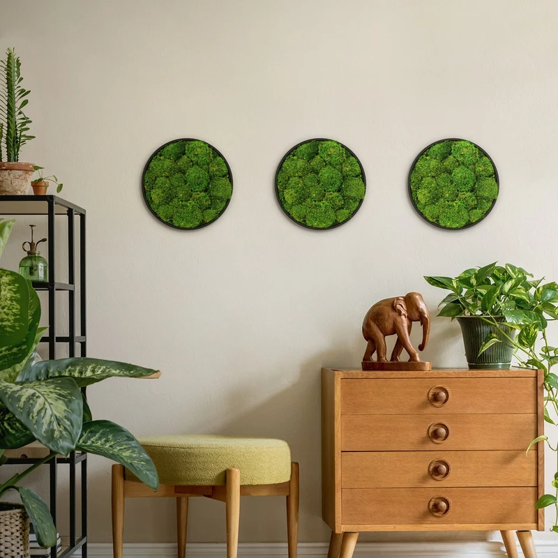 ECD GERMANY | Moosbild mit echtem Moos, Rund Ø 30/40/60 cm, Grün, Mooswand Indoor, Wanddeko mit Holzrahmen, Wandbild, Moos Deko für Haus & Büro