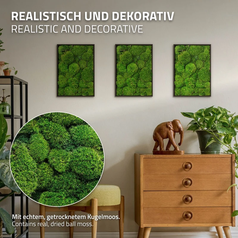 ECD GERMANY | Moosbild mit echtem Moos, Rechteck, 38x27 cm, Grün, Mooswand Indoor, Wanddeko mit Holzrahmen, Wandbild, Moos Deko für Haus & Büro