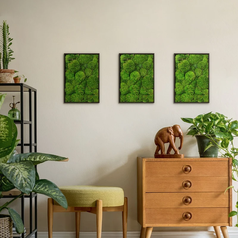 ECD GERMANY | Moosbild mit echtem Moos, Rechteck, 38x27 cm, Grün, Mooswand Indoor, Wanddeko mit Holzrahmen, Wandbild, Moos Deko für Haus & Büro
