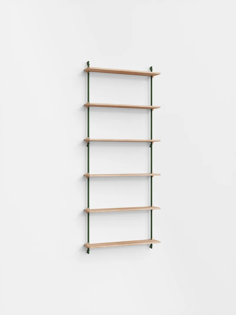 Wall Shelving – ws.200.1