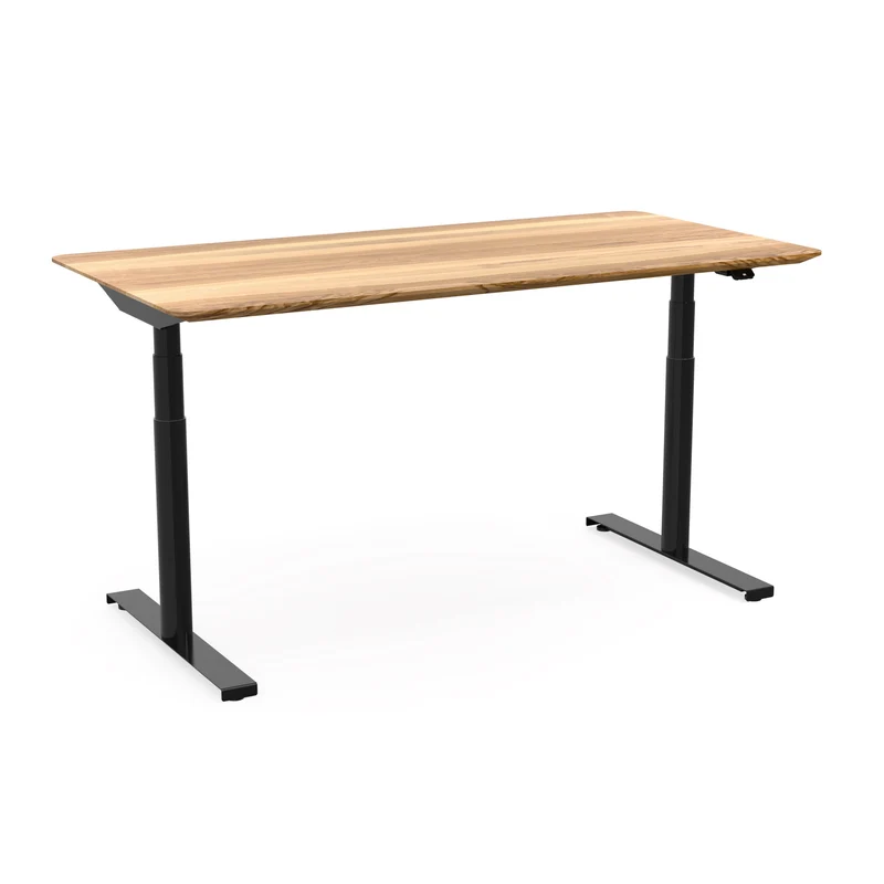 Schreibtisch Levi Schwarz