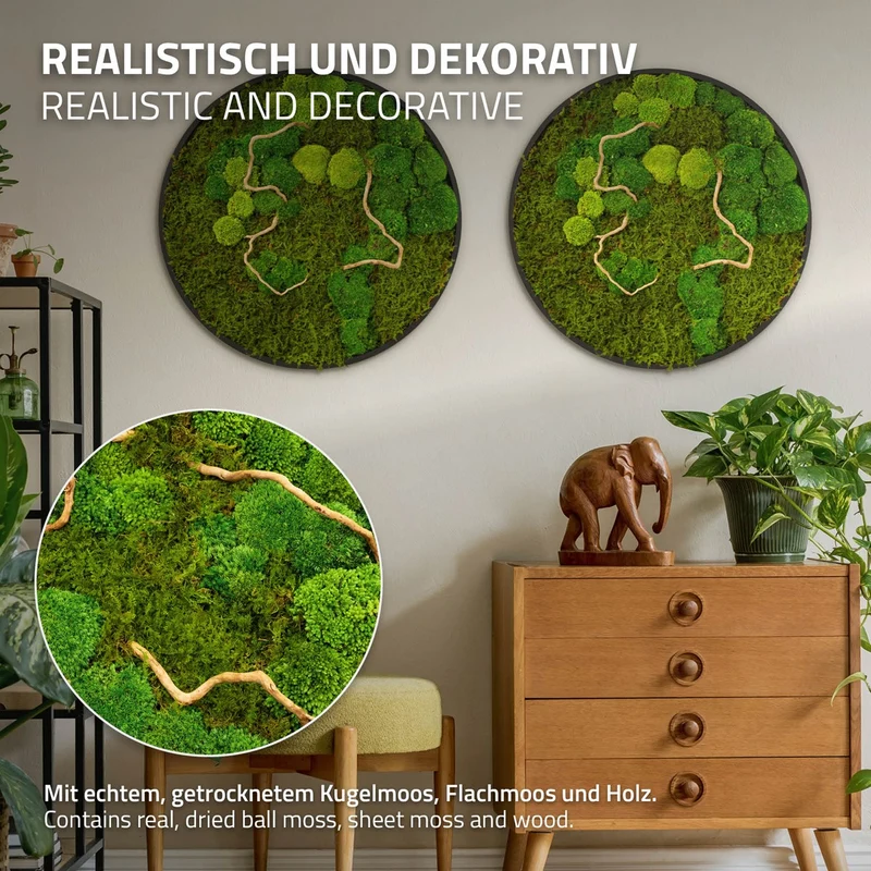ECD GERMANY | Moosbild mit echtem Kugel- und Flachmoos-Mix & Ästen Rund Ø60 cm Grün Mooswand Indoor Wanddeko mit Holzrahmen Wandbild für Haus und Büro