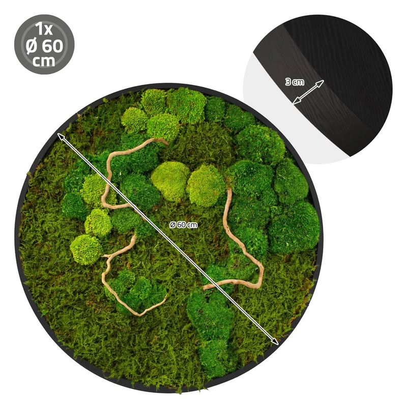 ECD GERMANY | Moosbild mit echtem Kugel- und Flachmoos-Mix & Ästen Rund Ø60 cm Grün Mooswand Indoor Wanddeko mit Holzrahmen Wandbild für Haus und Büro