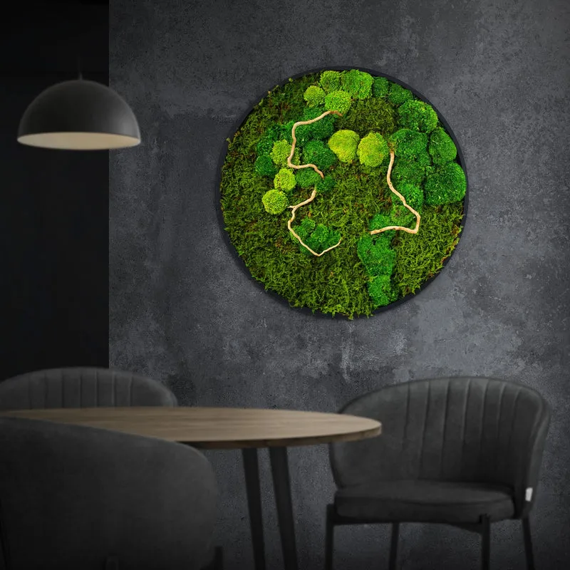 ECD GERMANY | Moosbild mit echtem Kugel- und Flachmoos-Mix & Ästen Rund Ø60 cm Grün Mooswand Indoor Wanddeko mit Holzrahmen Wandbild für Haus und Büro