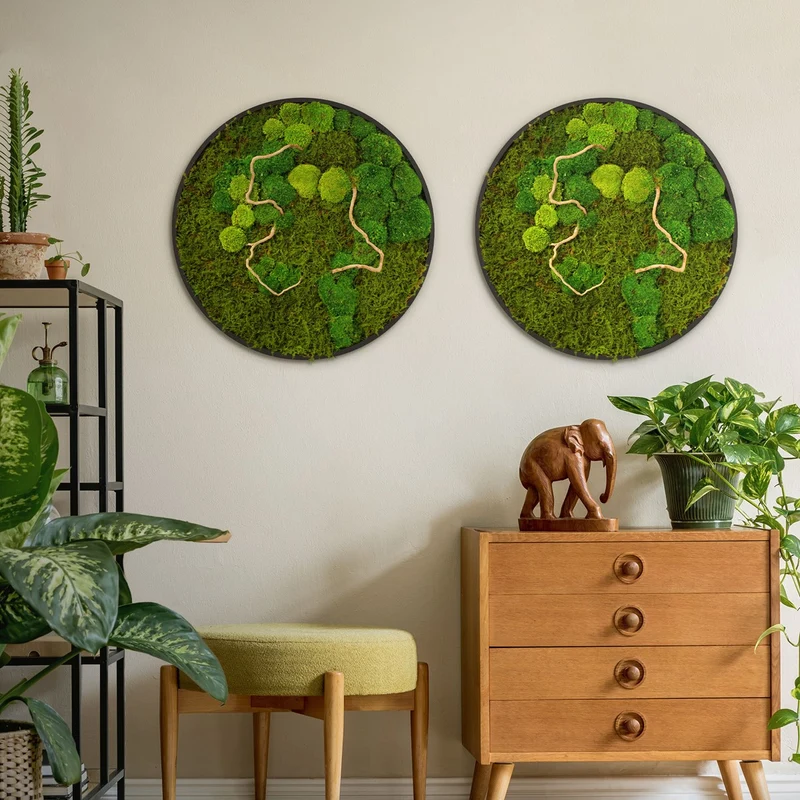 ECD GERMANY | Moosbild mit echtem Kugel- und Flachmoos-Mix & Ästen Rund Ø60 cm Grün Mooswand Indoor Wanddeko mit Holzrahmen Wandbild für Haus und Büro