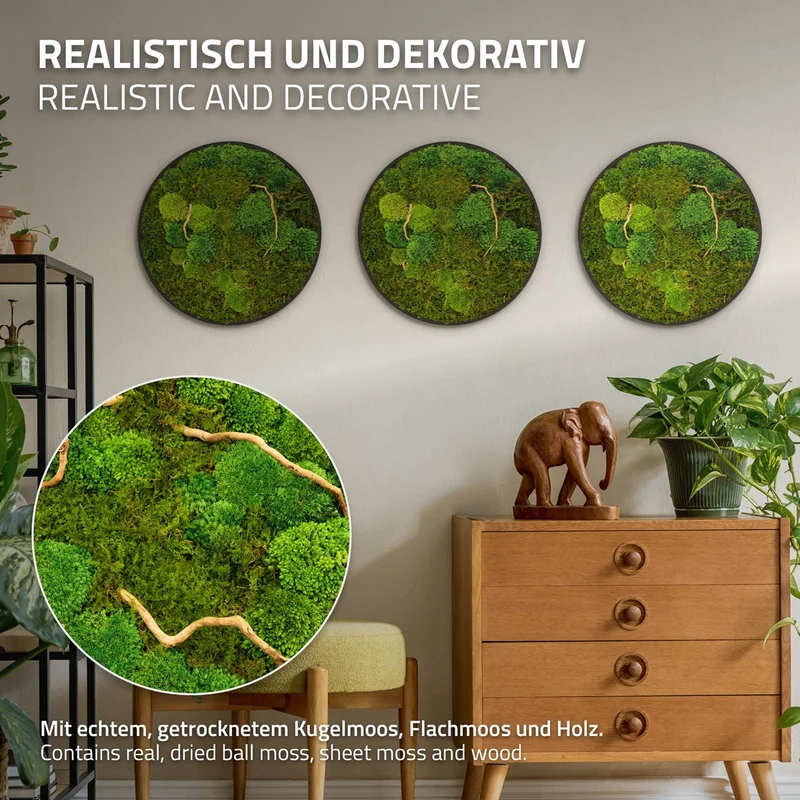 ECD GERMANY | Moosbild mit echtem Kugel- und Flachmoos-Mix & Ästen Rund Ø40 cm Grün Mooswand Indoor Wanddeko mit Holzrahmen Wandbild für Haus und Büro