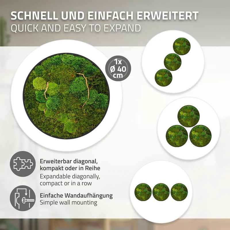 ECD GERMANY | Moosbild mit echtem Kugel- und Flachmoos-Mix & Ästen Rund Ø40 cm Grün Mooswand Indoor Wanddeko mit Holzrahmen Wandbild für Haus und Büro