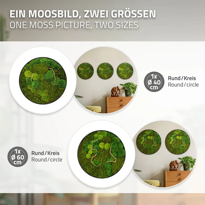 ECD GERMANY | Moosbild mit echtem Kugel- und Flachmoos-Mix & Ästen Rund Ø40 cm Grün Mooswand Indoor Wanddeko mit Holzrahmen Wandbild für Haus und Büro