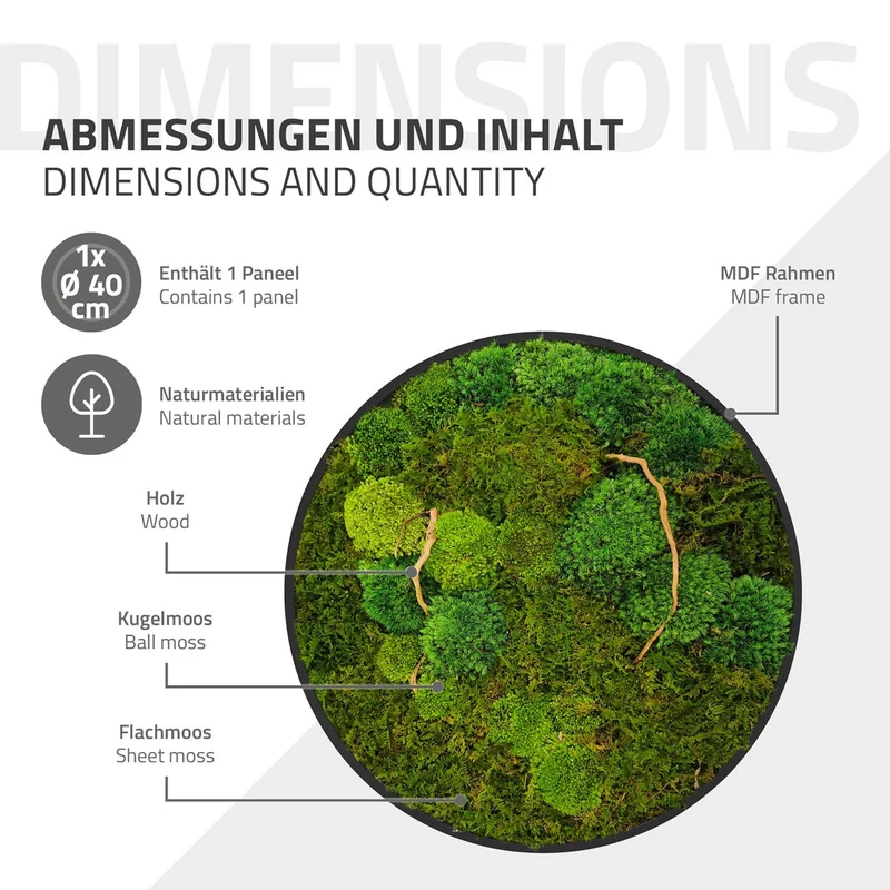 ECD GERMANY | Moosbild mit echtem Kugel- und Flachmoos-Mix & Ästen Rund Ø40 cm Grün Mooswand Indoor Wanddeko mit Holzrahmen Wandbild für Haus und Büro