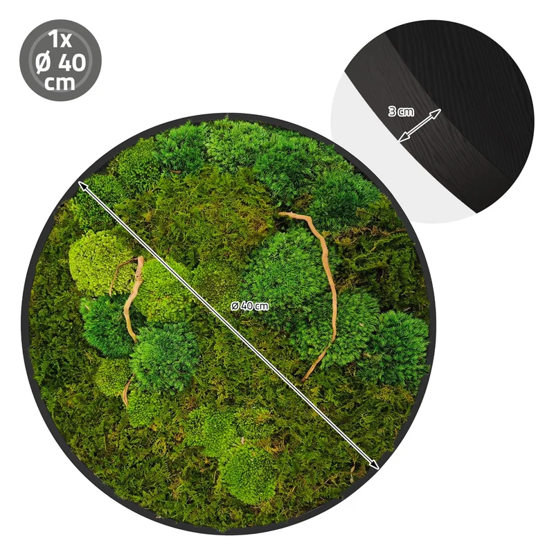 ECD GERMANY | Moosbild mit echtem Kugel- und Flachmoos-Mix & Ästen Rund Ø40 cm Grün Mooswand Indoor Wanddeko mit Holzrahmen Wandbild für Haus und Büro