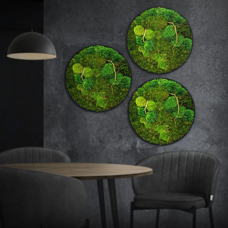 ECD GERMANY | Moosbild mit echtem Kugel- und Flachmoos-Mix & Ästen Rund Ø40 cm Grün Mooswand Indoor Wanddeko mit Holzrahmen Wandbild für Haus und Büro