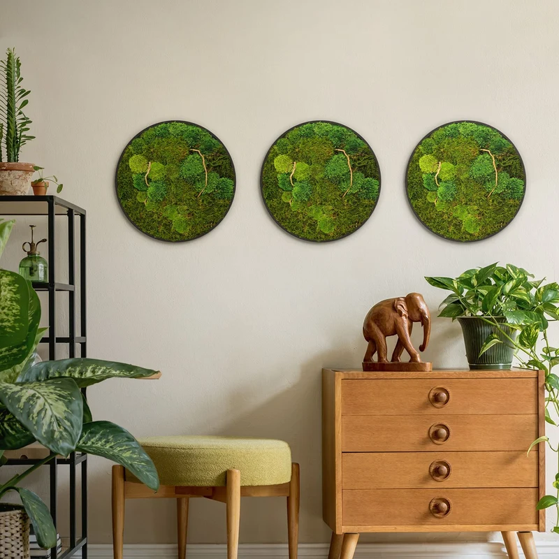 ECD GERMANY | Moosbild mit echtem Kugel- und Flachmoos-Mix & Ästen Rund Ø40 cm Grün Mooswand Indoor Wanddeko mit Holzrahmen Wandbild für Haus und Büro