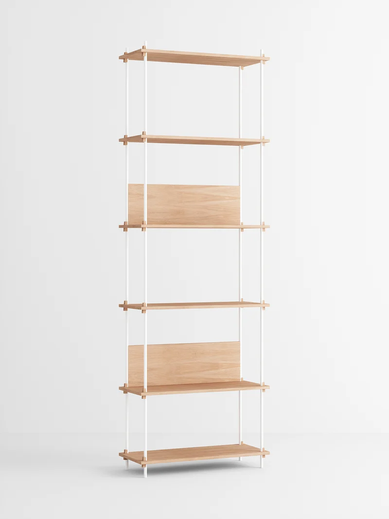 Shelving System – s.255.1.A