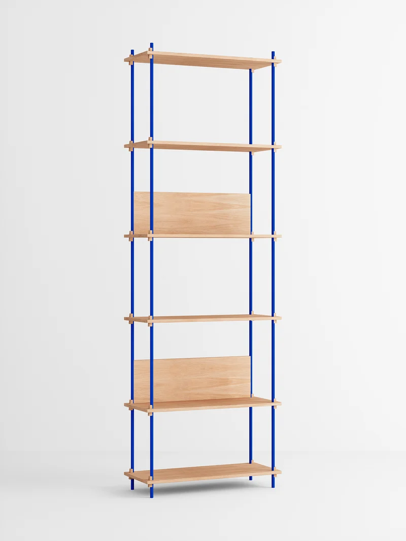 Shelving System – s.255.1.A