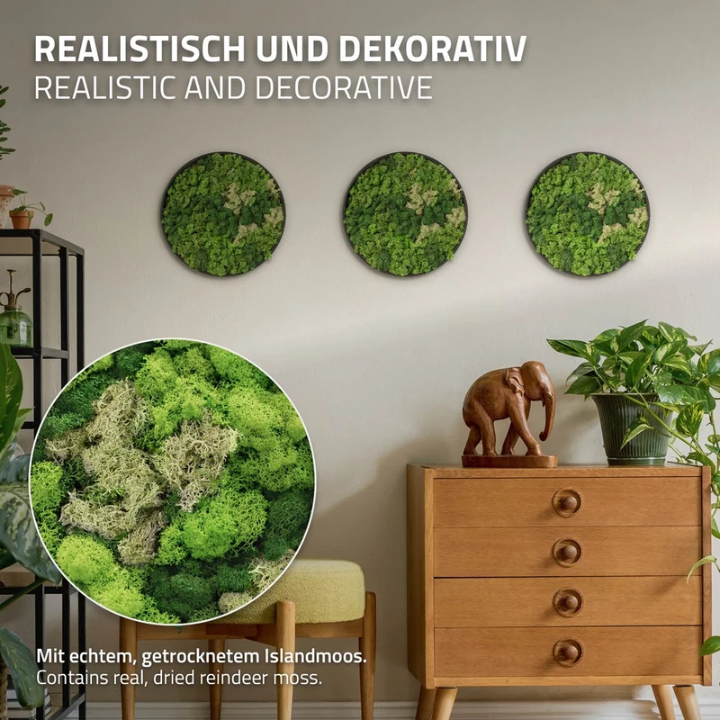 ECD GERMANY | Moosbild mit echtem Islandmoos, Rund, Ø 30 cm, Grün, Mooswand Indoor, Wanddeko mit Holzrahmen, Wandbild, Moos Deko für Haus & Büro
