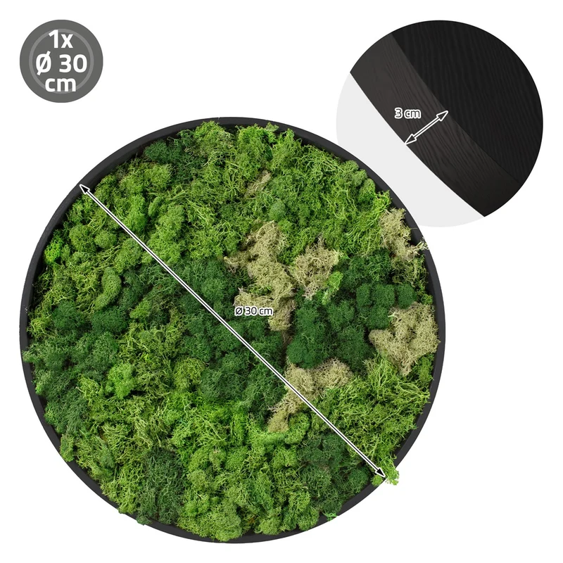 ECD GERMANY | Moosbild mit echtem Islandmoos, Rund, Ø 30 cm, Grün, Mooswand Indoor, Wanddeko mit Holzrahmen, Wandbild, Moos Deko für Haus & Büro