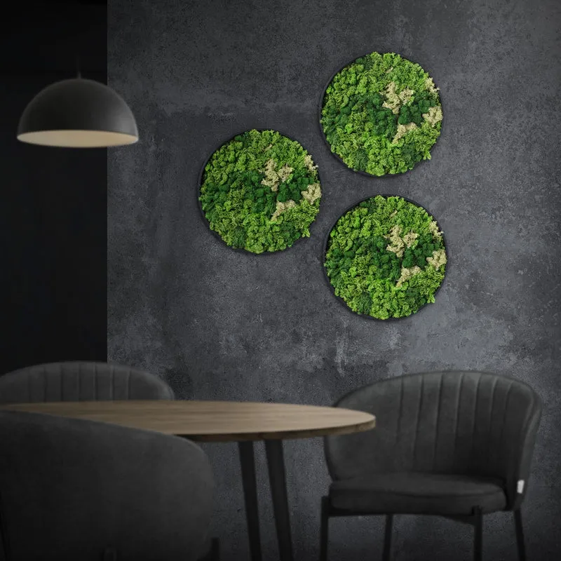 ECD GERMANY | Moosbild mit echtem Islandmoos, Rund, Ø 30 cm, Grün, Mooswand Indoor, Wanddeko mit Holzrahmen, Wandbild, Moos Deko für Haus & Büro